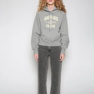 Sudadera Paris France Hoodie Gris
