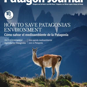 Patagon Journal - Edición 25